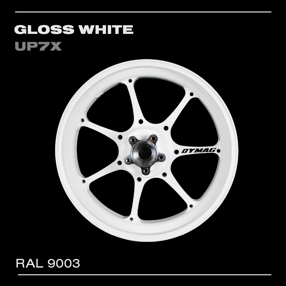 DYMUP7X-B3139A FZ09 W/ABS 14-17 Front 17